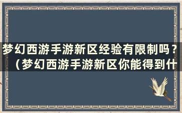 梦幻西游手游新区经验有限制吗？ （梦幻西游手游新区你能得到什么？）